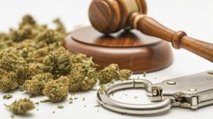 Common Defenses for Drug Charges in Maryland: What You Need to Know